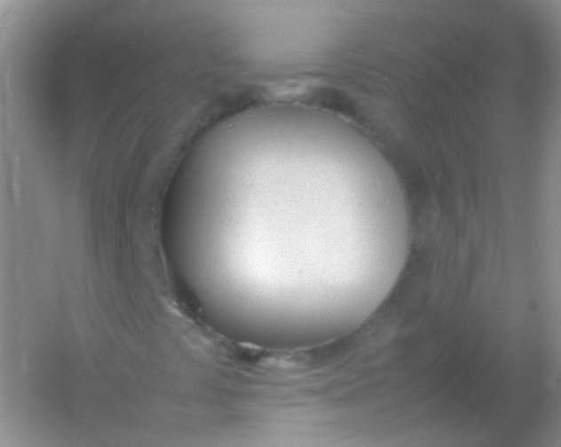 X0000054331441200508111906.png