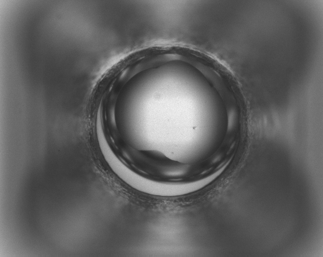 X0000040731311200410201641.png