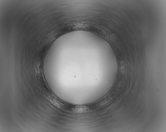X0000055210514200508301325.png