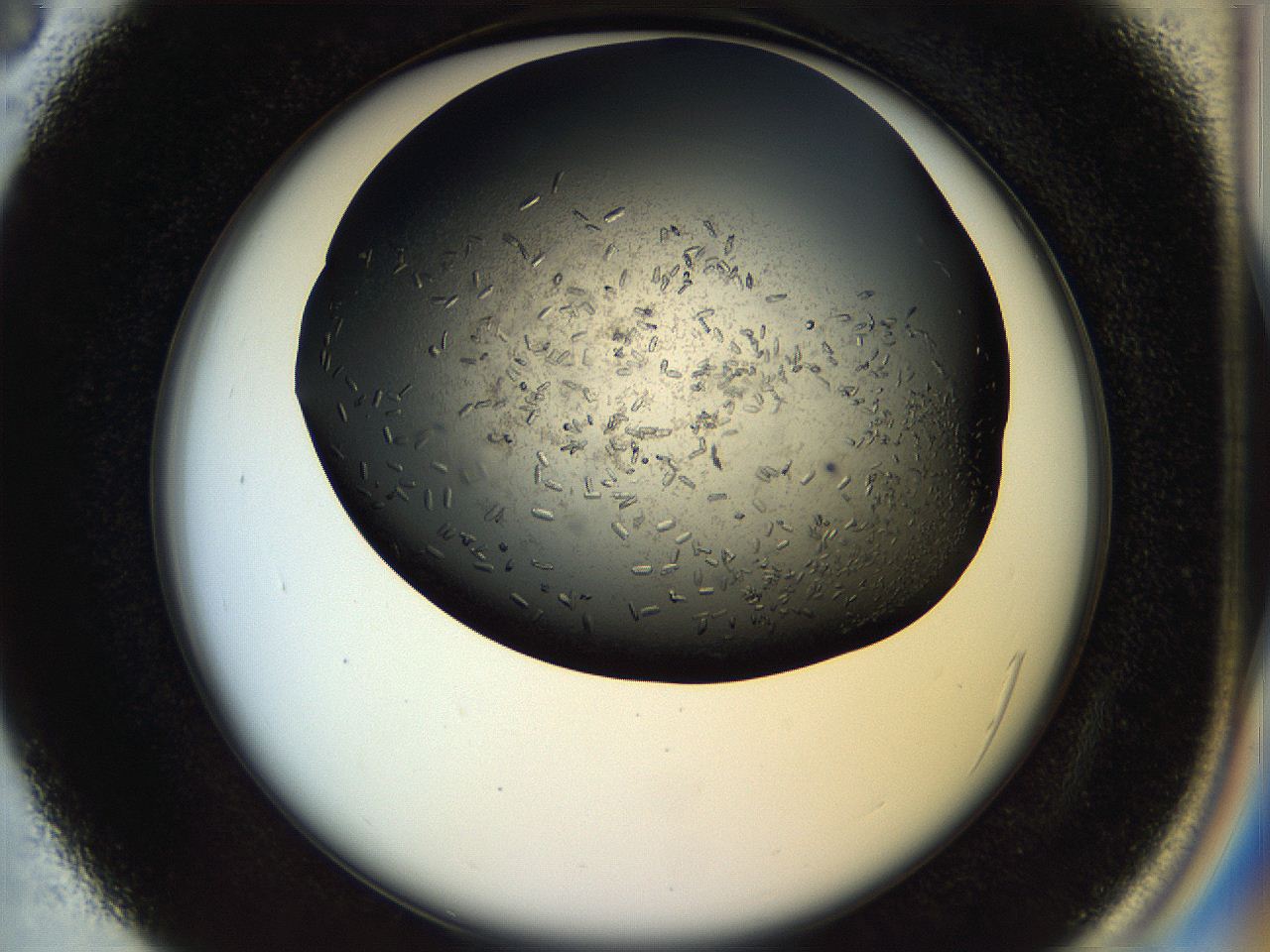 057p_C3_ImagerDefaults_7.jpg