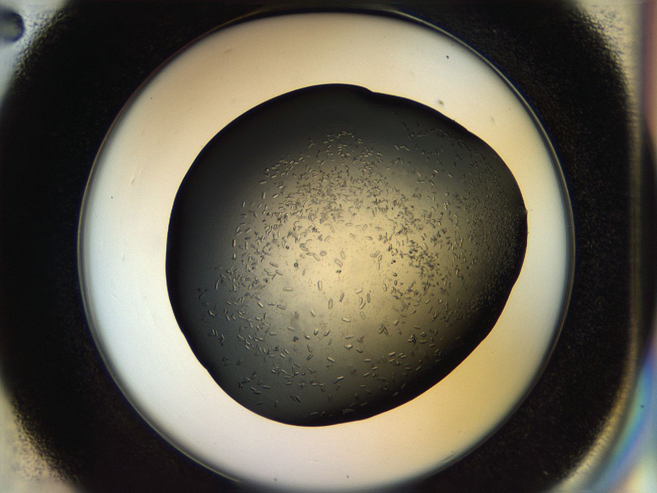 057p_C2_ImagerDefaults_7.jpg