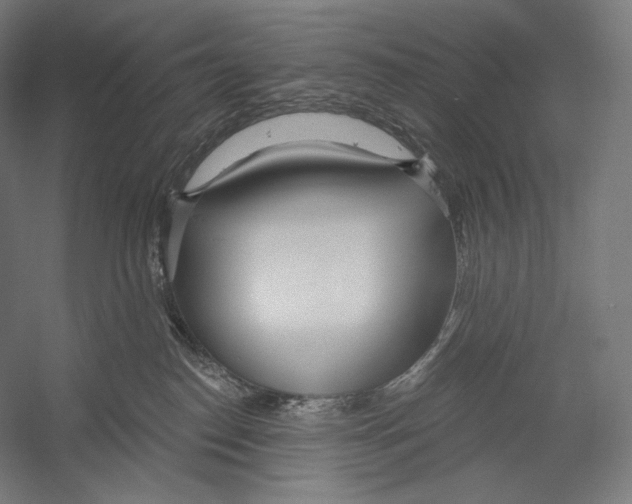X0000055250186200509071625.png