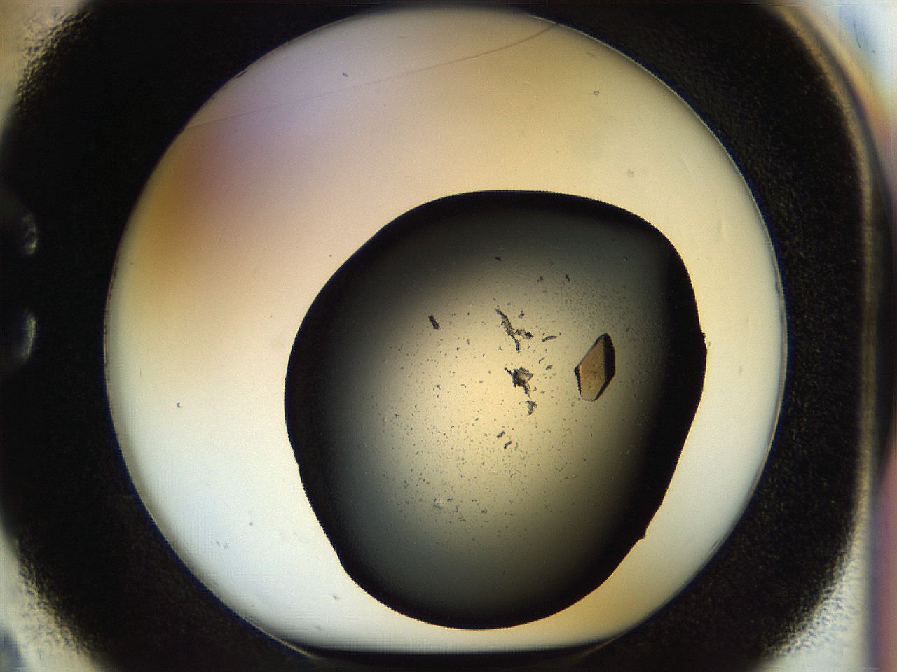 057p_C2_ImagerDefaults_9.jpg