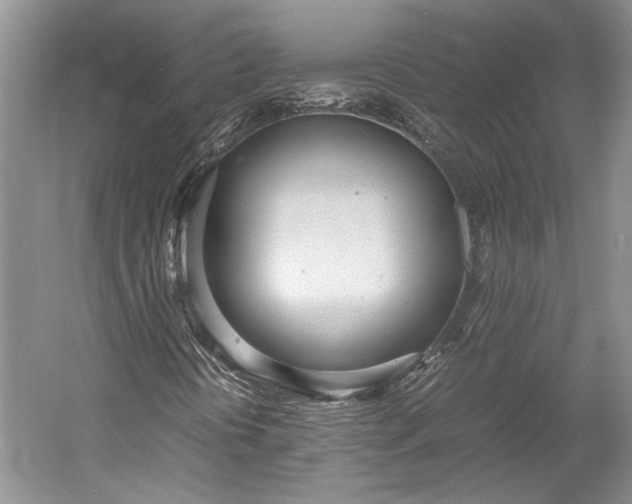 X0000055061394200508161633.png