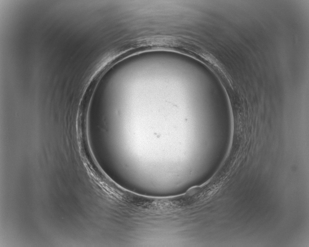 X0000055060983200508161641.png