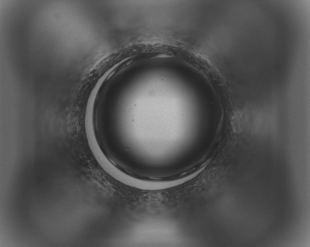X0000040560968200411021424.png