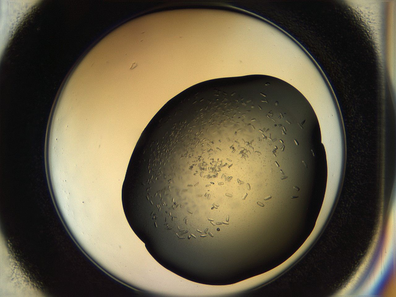 057p_C1_ImagerDefaults_7.jpg