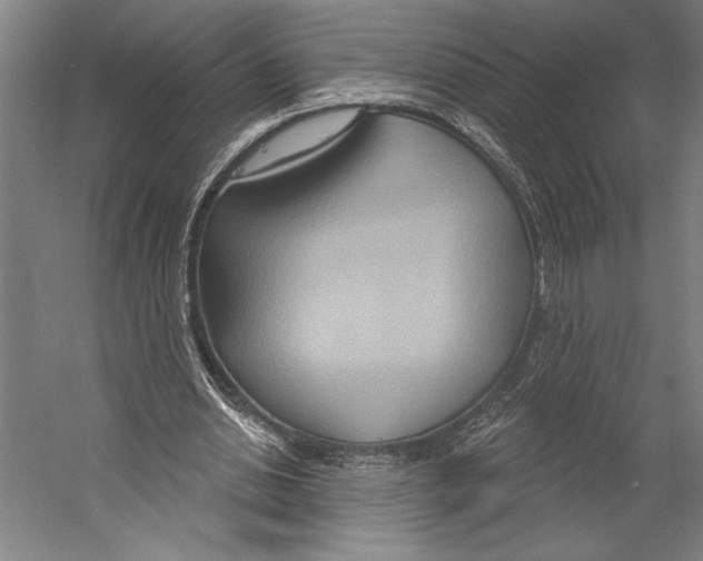 X0000055250438200509071619.png