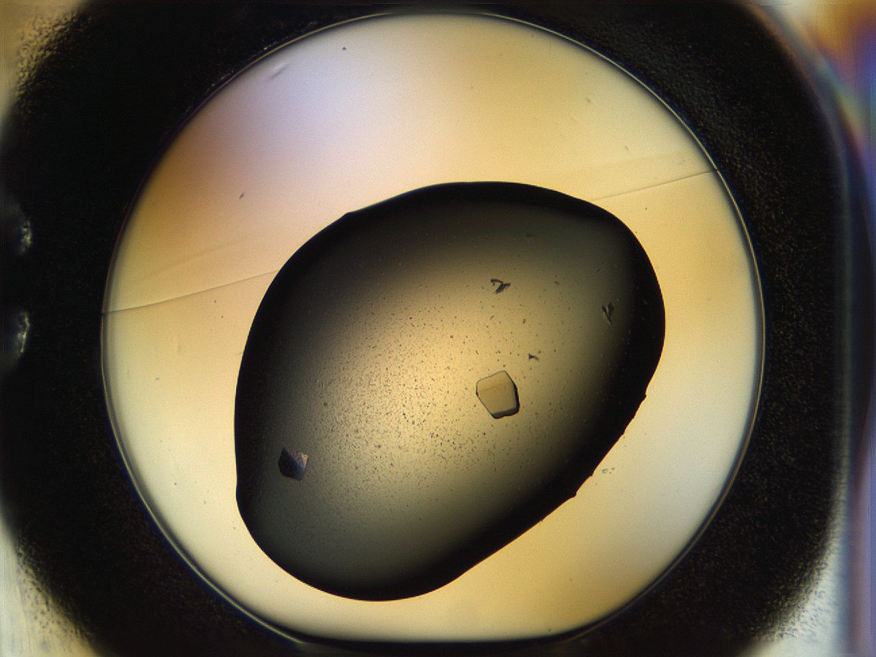 057p_C1_ImagerDefaults_9.jpg