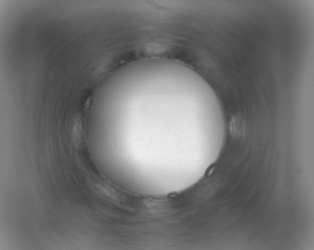 X0000054331299200508111908.png