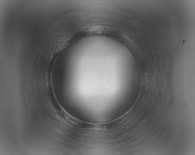 X0000055210504200508301325.png