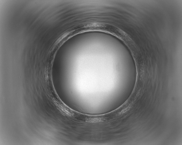 X0000055061017200508161640.png