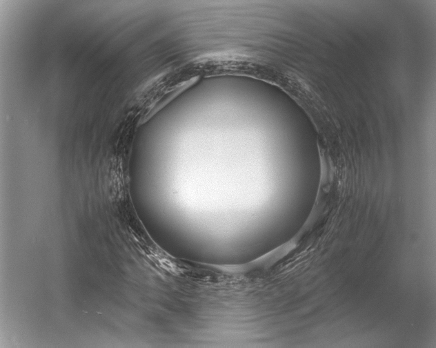 X0000055061062200508161640.png