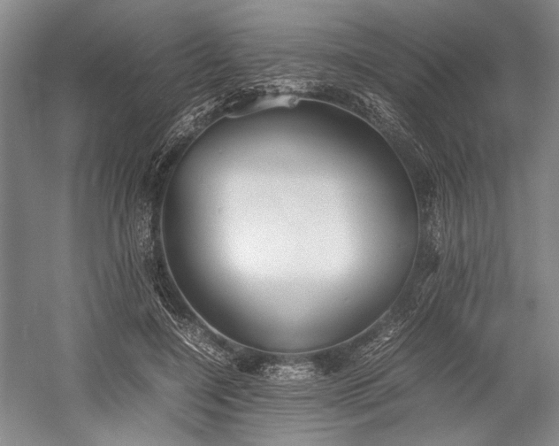 X0000055060548200508161648.png