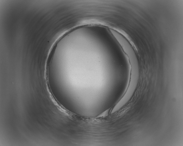 X0000055250815200509071614.png