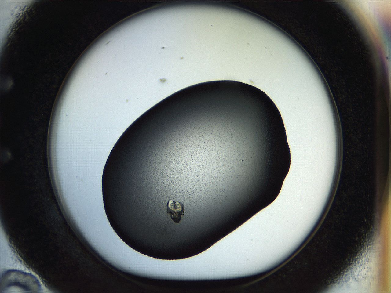 057p_E10_ImagerDefaults_7.jpg