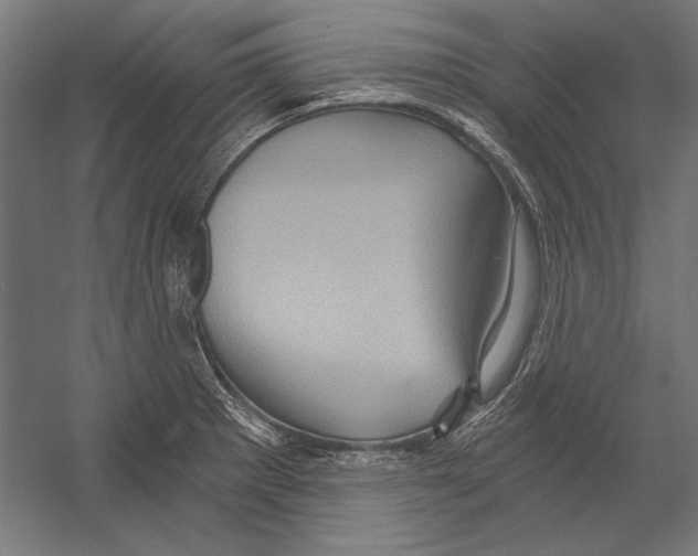 X0000055251281200509071606.png