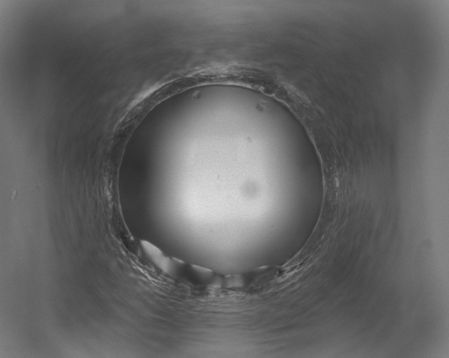 X0000055211206200508301313.png