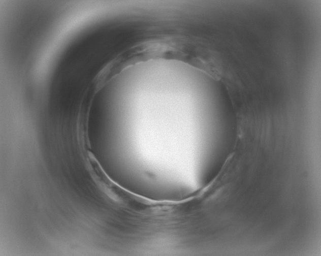 X0000054330052200508111930.png