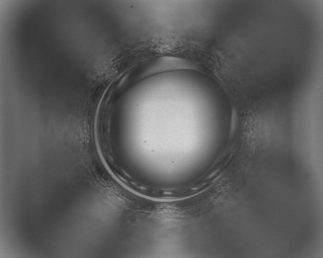 X0000051110510200507141800.png