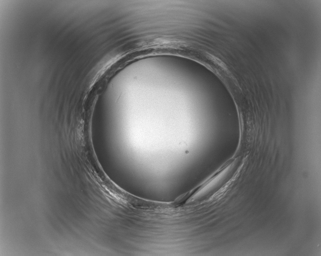 X0000055061066200508161640.png