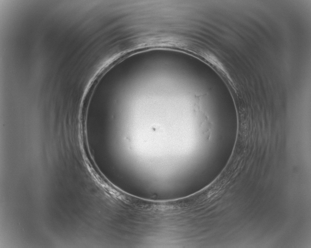 X0000055061088200508161639.png
