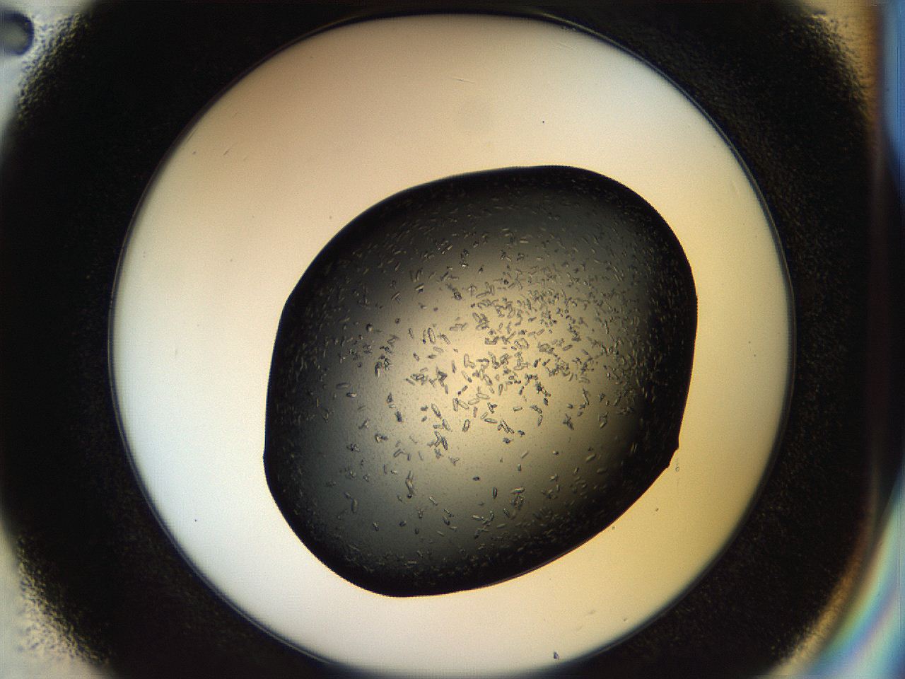 057p_E2_ImagerDefaults_7.jpg