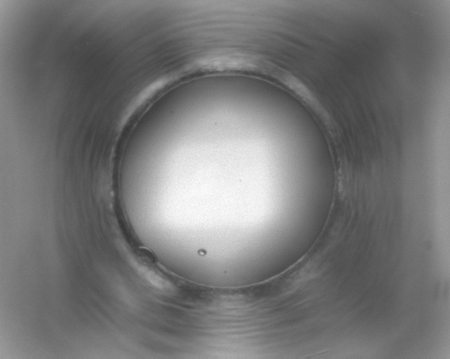 X0000054330438200508111923.png