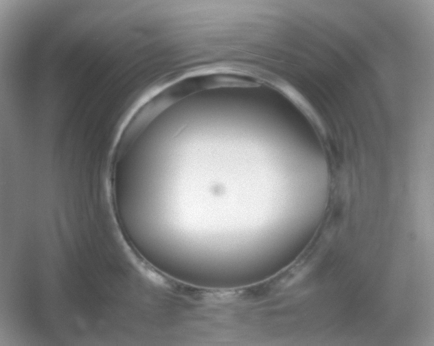 X0000054330813200508111917.png