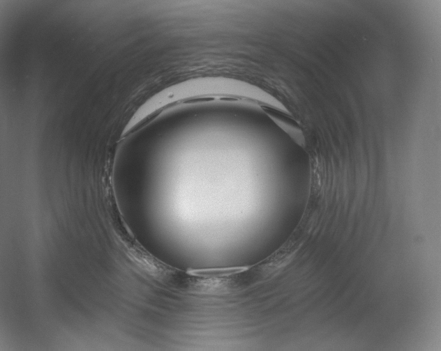 X0000055210237200508301330.png