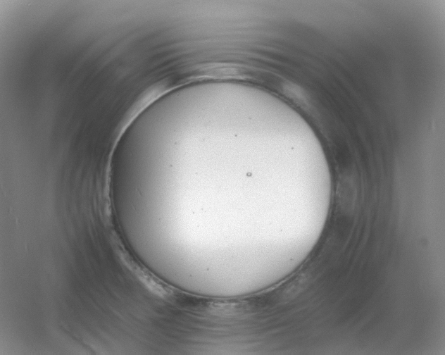 X0000054331378200508111908.png