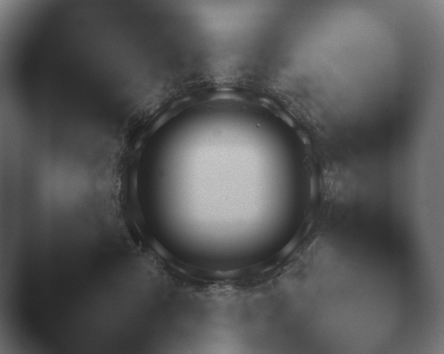 X0000047470427200503091604.png