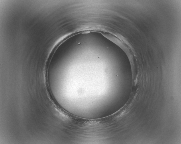 X0000054330846200508111917.png