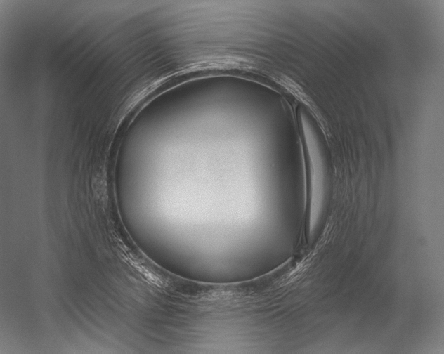 X0000055210834200508301319.png