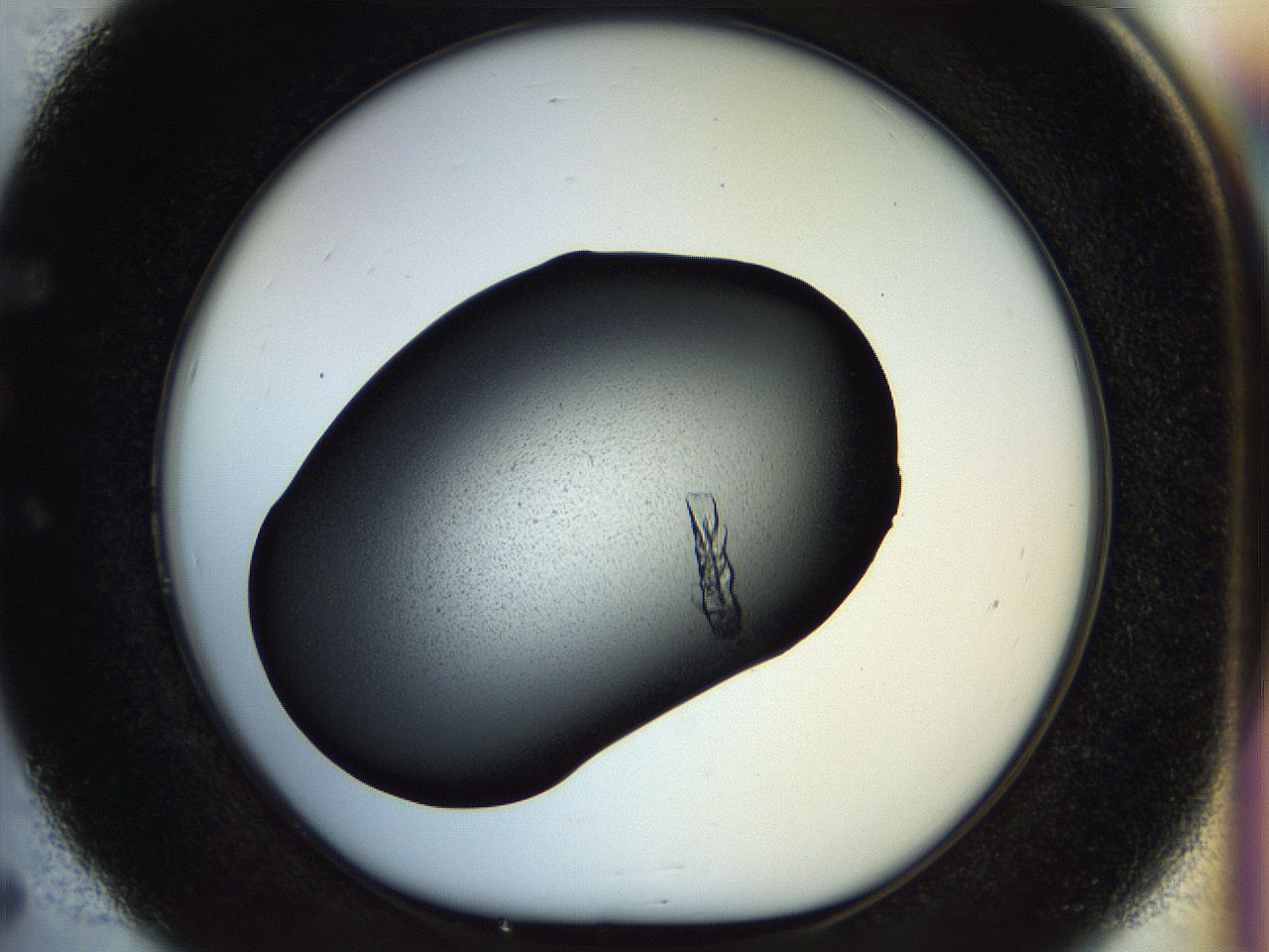 057p_E5_ImagerDefaults_7.jpg