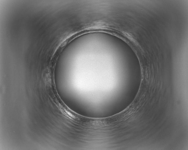 X0000055061356200508161635.png
