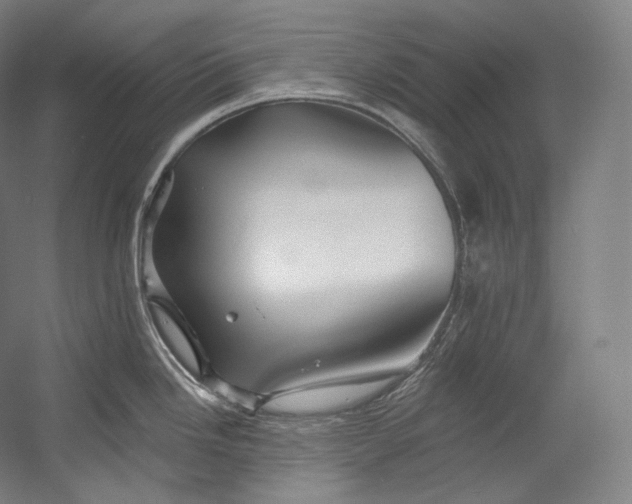 X0000055211246200508301313.png