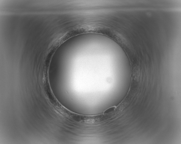 X0000054330740200508111918.png