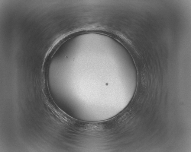 X0000055211270200508301312.png