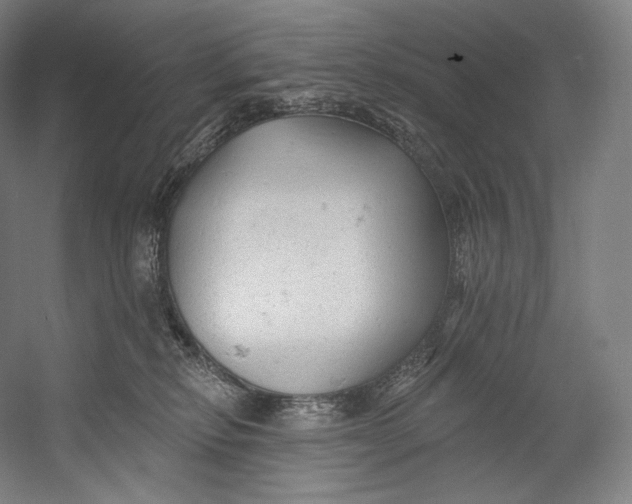 X0000055210278200508301330.png