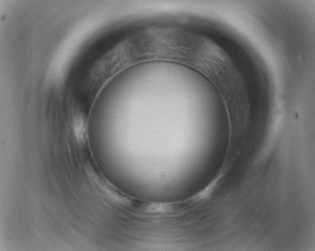 X0000054650142200508091651.png