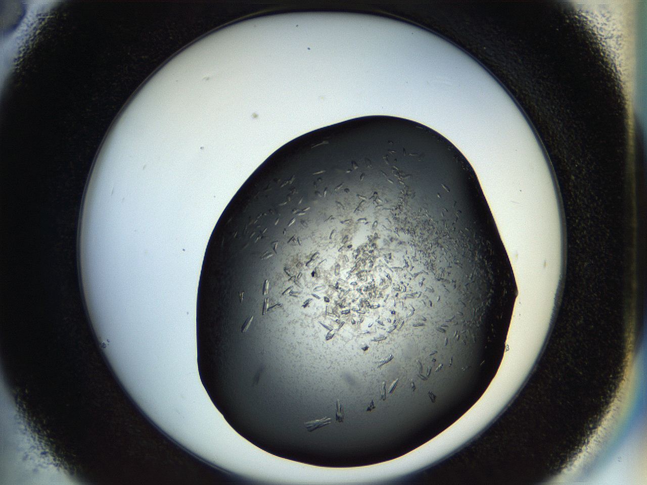 057p_C6_ImagerDefaults_7.jpg