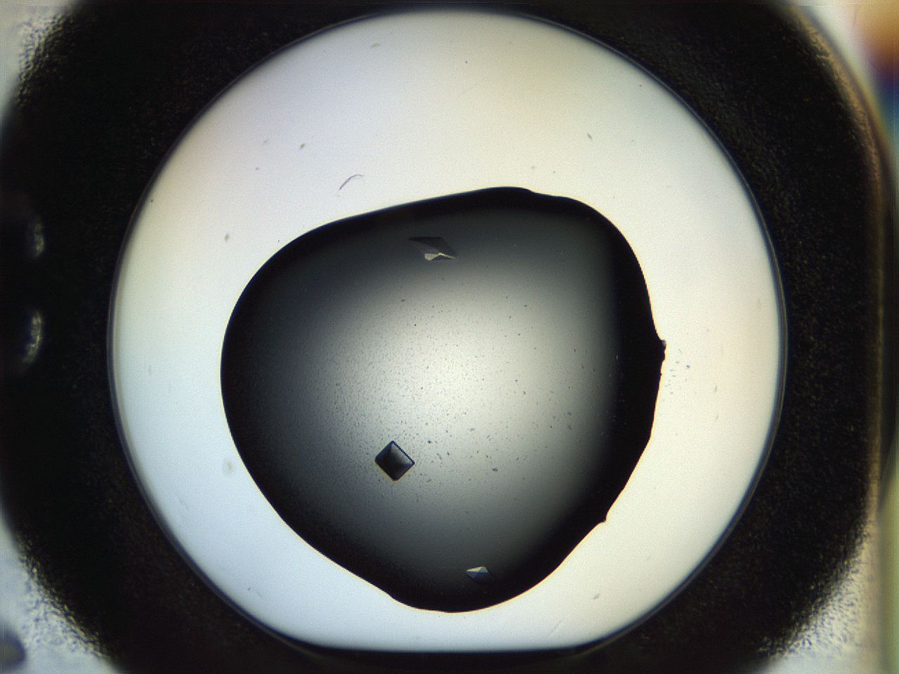 057p_C6_ImagerDefaults_9.jpg
