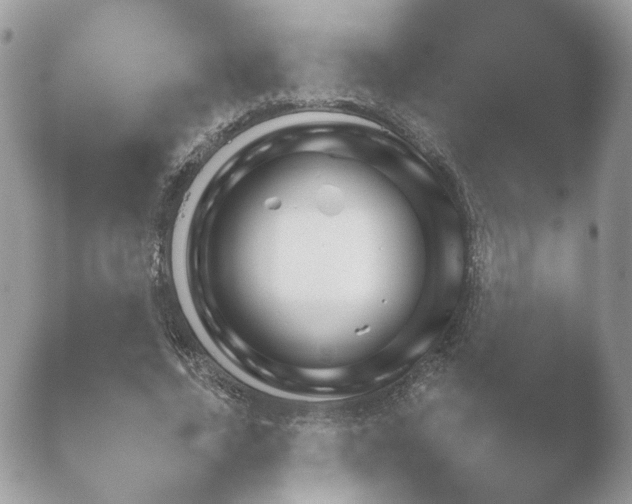 X0000052120732200507262051.png