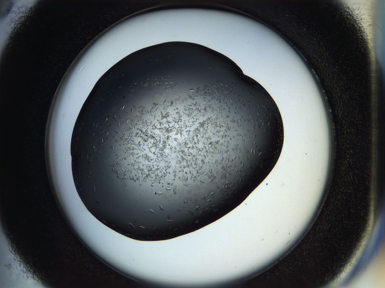 057p_C5_ImagerDefaults_7.jpg
