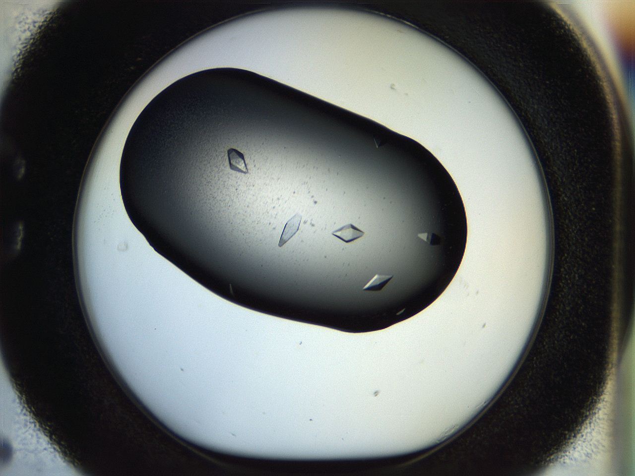 057p_C5_ImagerDefaults_9.jpg