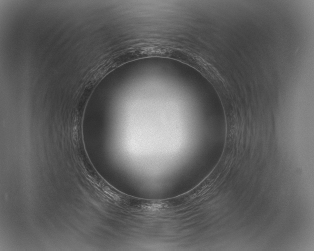 X0000055210513200508301325.png