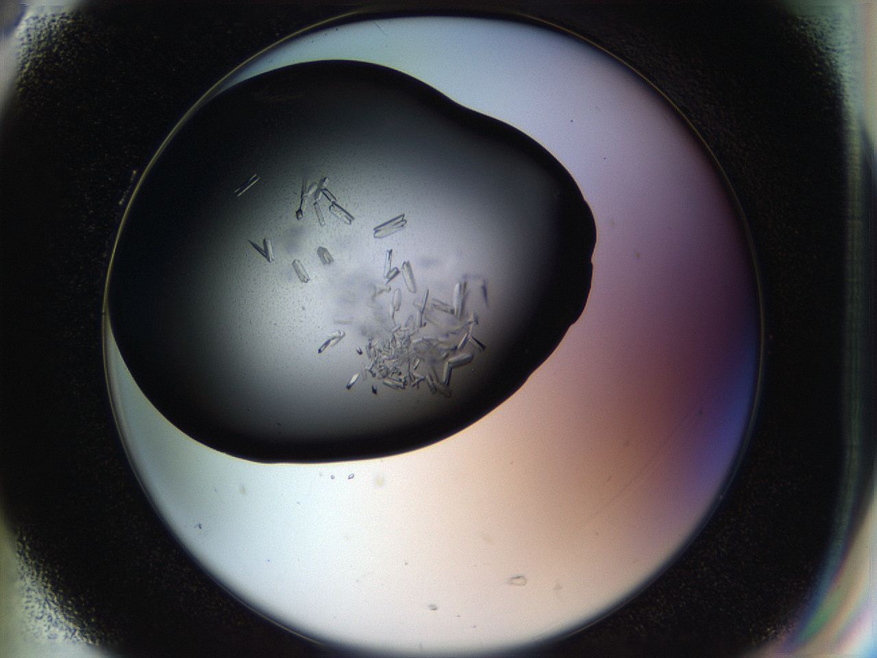 057p_G5_ImagerDefaults_7.jpg