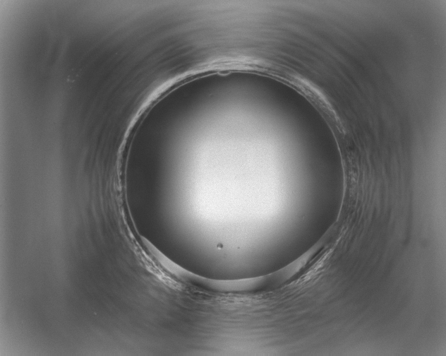 X0000055061192200508161637.png