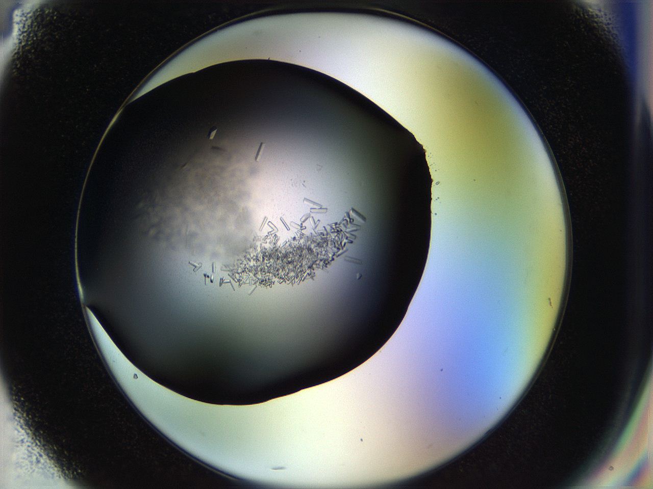 057p_G4_ImagerDefaults_7.jpg